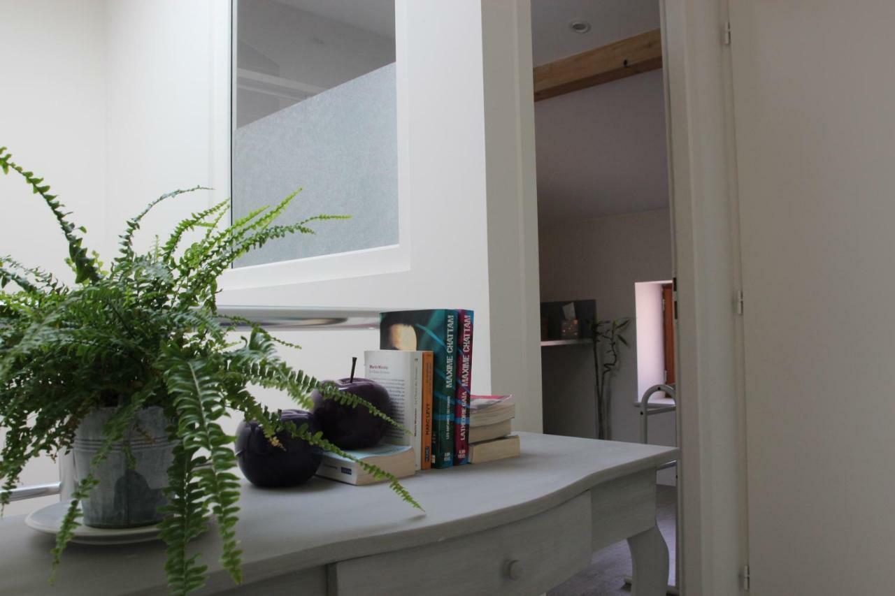 Grand Duplex Au Calme En Centre-Ville Villefranche-sur-Saône المظهر الخارجي الصورة